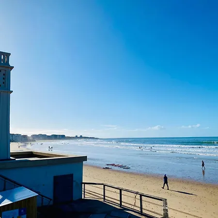 Le Meuniers En Bord De Les Sables-dʼOlonne